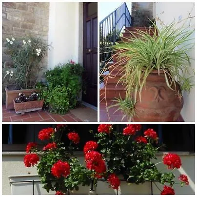Il Veggio Poggio a Caiano